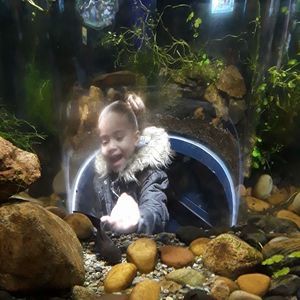 Meet your Posher, Casper